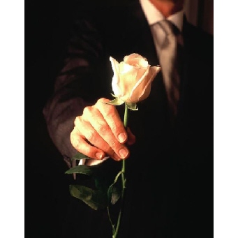 Gentleman holding a rose